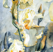 Helen Anne Hillson - Lemon Brocade